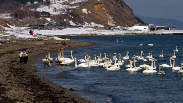 Три брата Сахалин