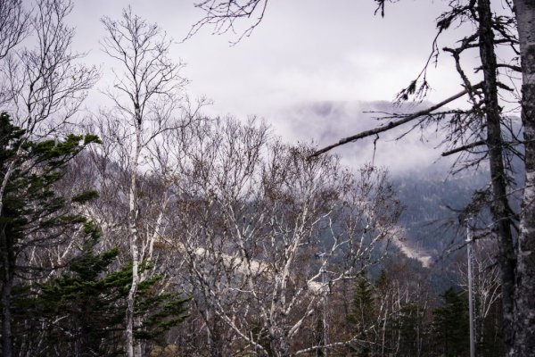 Вулкан Креницына, Курильские острова