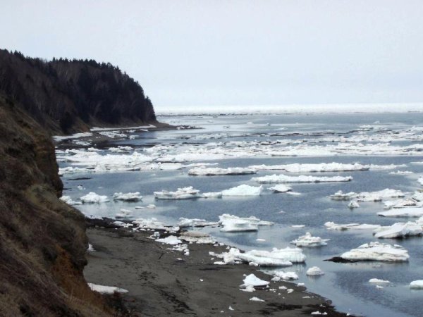 Долина люпинов остров Южный новая Зеландия
