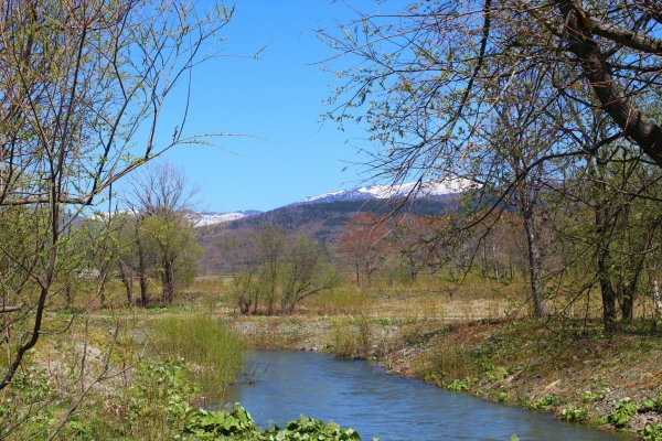 Весной Южно-Сахалинска
