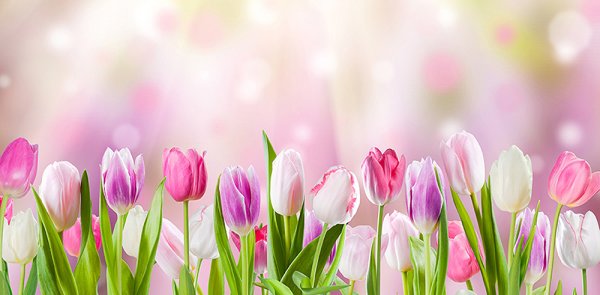 Весенний фон