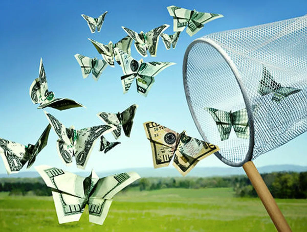 Птица с деньгами