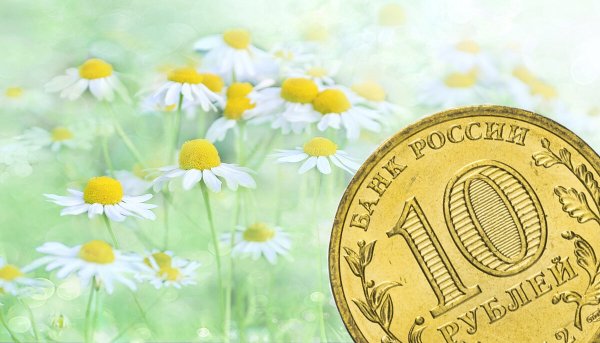 Ромашка и деньги