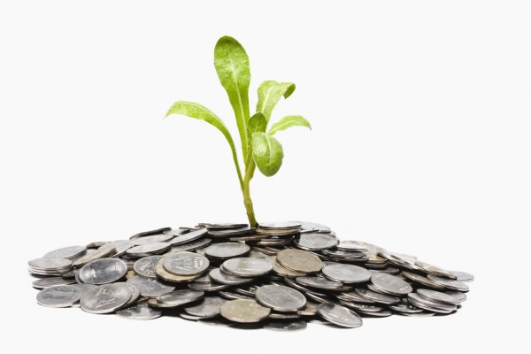 Росток из монет