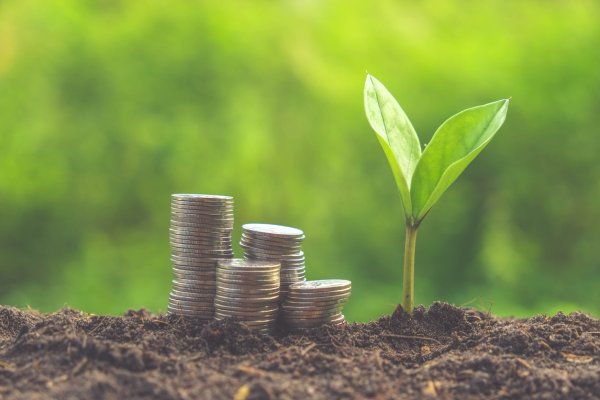 Деньги и природа