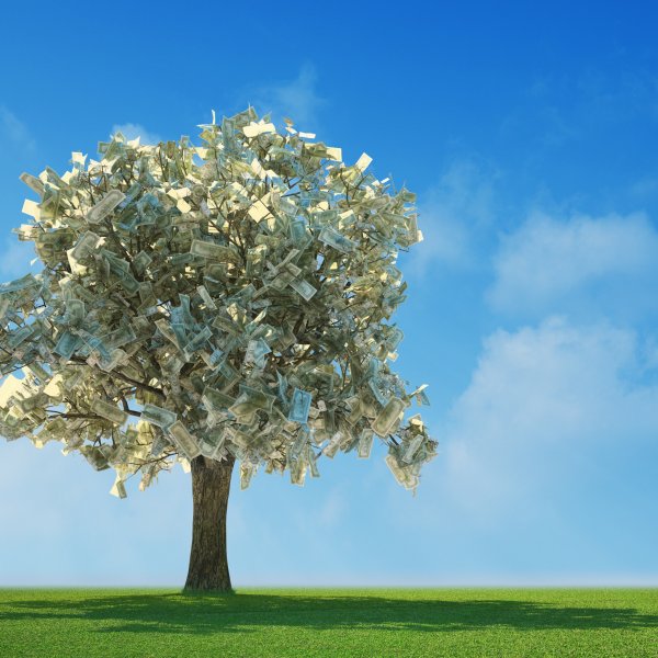 Дерево с деньгами