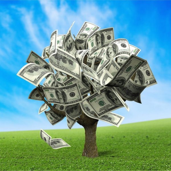 Куча денег и цветы