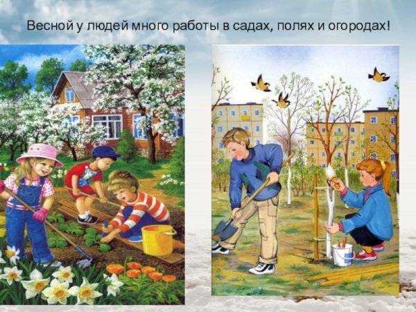 Весенние картины