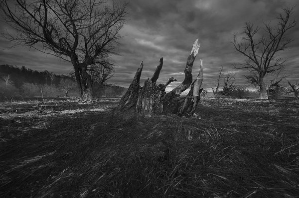 Мрачная Весна