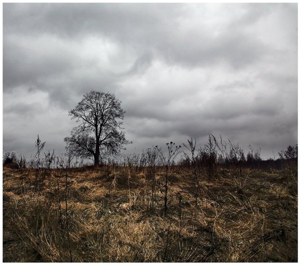 Мрачные пейзажи России