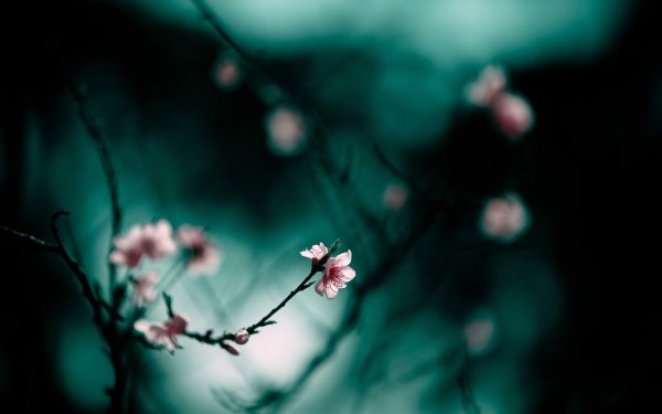 Мрачная Весна