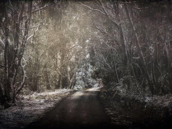 Мрачная Весна