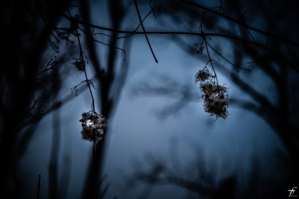 Весна Темнота