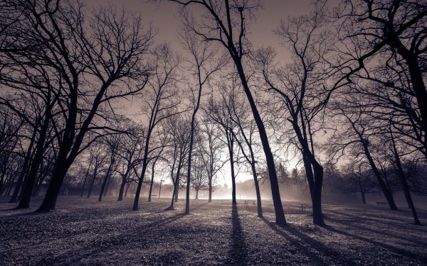 Мрачный пейзаж