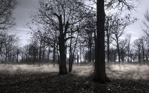 Серая осень