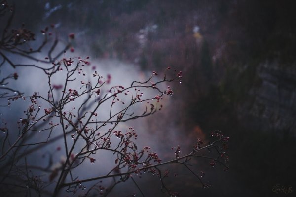 Поздняя осень Эстетика