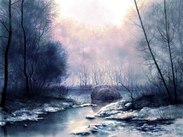 Сказочное зимнее болото