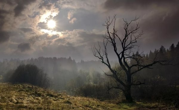 Пасмурный день