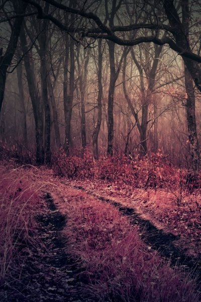 Мрачные пейзажи России