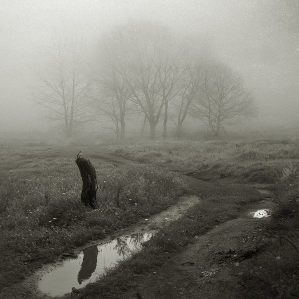 Унылая природа