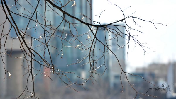 Ранняя Весна Эстетика