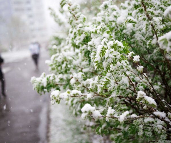 Термометр зима