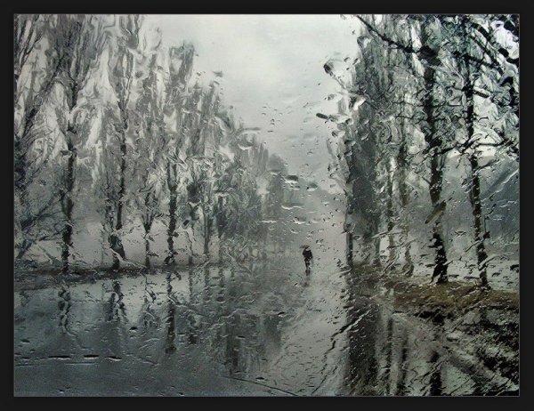 Оттепель зимой в городе