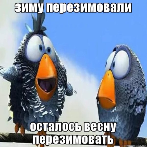 Зиму перезимовали осталось перезимовать весну