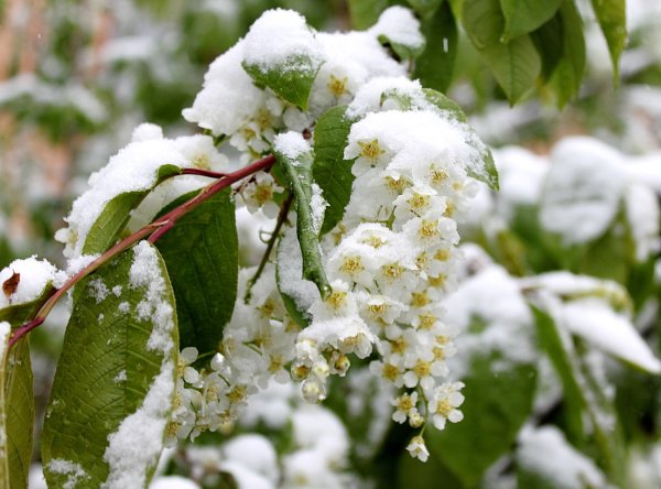 Дождливая Весна в городе