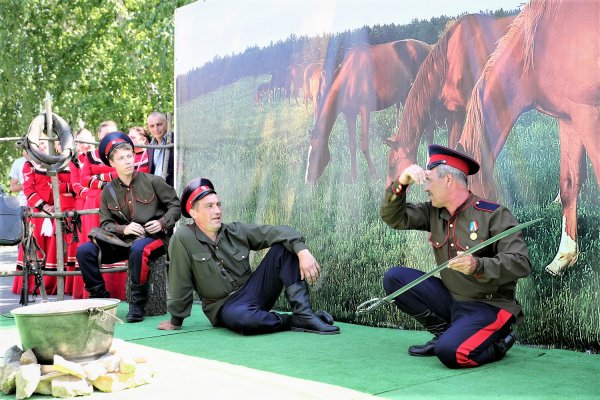Шолоховская Весна в Ростовской области