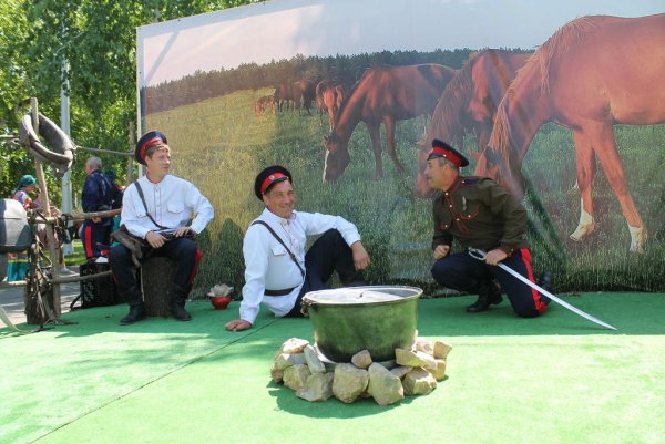 Фестиваль Шолоховская Весна