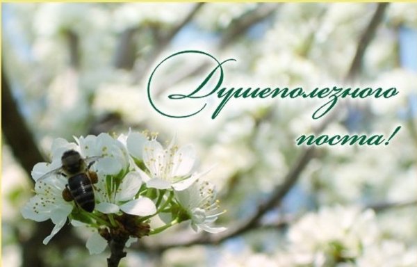 С весной духовной