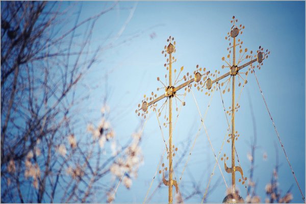 Верба Церковь Вербное Воскресение