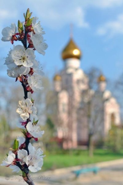 Весна духовная