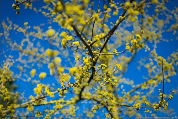 Весна в России