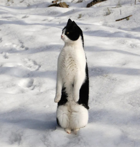 Весна опаздывает