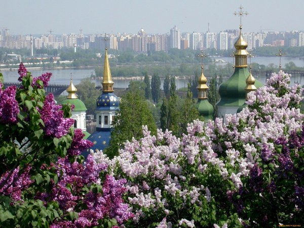 Весенний парк Баоту