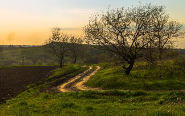Усть-Лабинск Весна