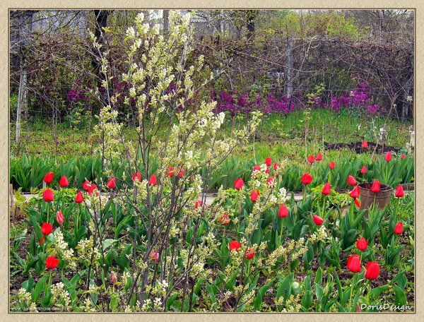 Весна в Краснодарском крае