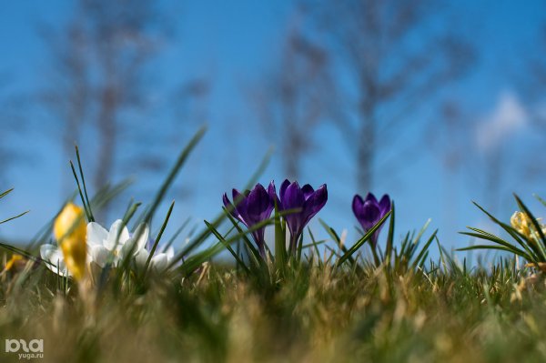 Времена года на Кубани картинки