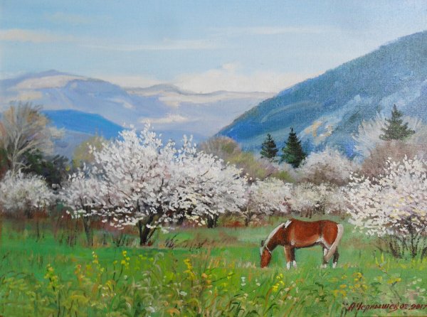 Природа в мае