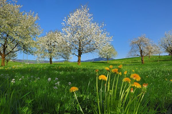 Апрель в Краснодарском крае