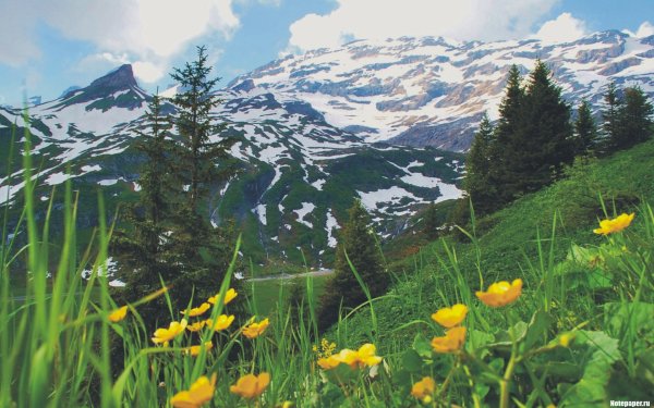 Весна речка