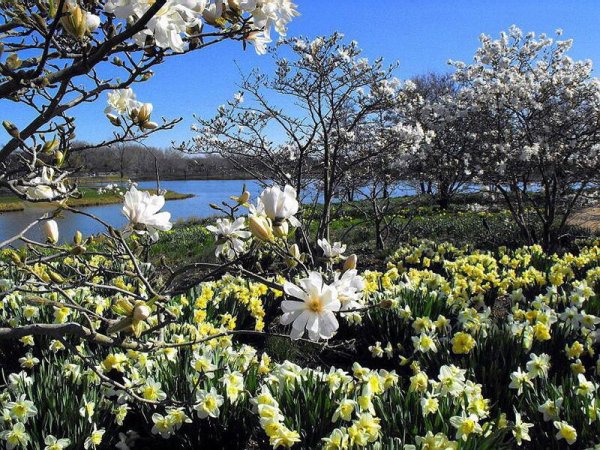 Красота русской природы