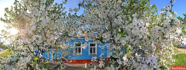 Кубань весной фото