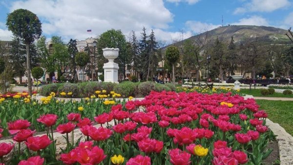 Пятигорск тюльпаны парк