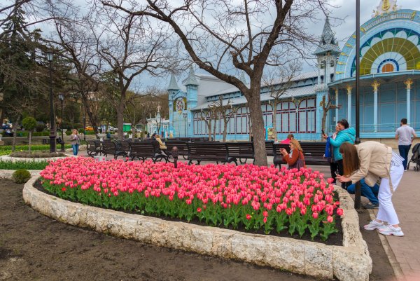 Пятигорск тюльпаны парк