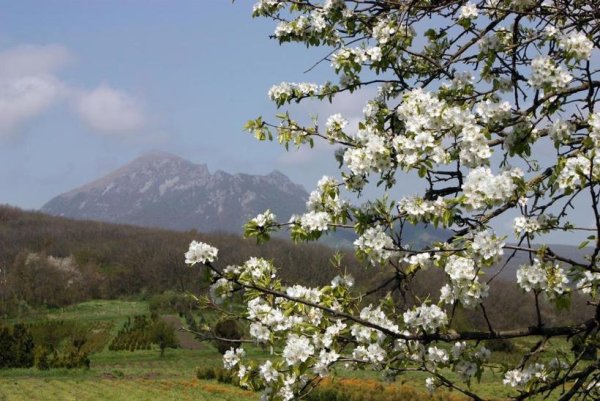 Кавказские Минеральные воды Весна
