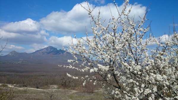 Пятигорск Машук весной