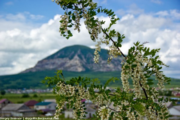Весенний Машук в Пятигорске